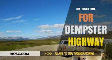 Top Truck Tires for Dempster Highway: Durability Meets Performance