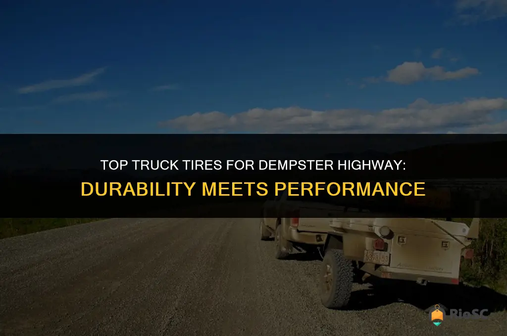 best truck tires for dempster highway