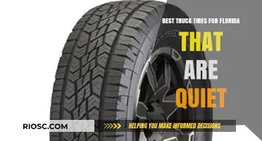 Top Quiet Truck Tires for Florida: A Comprehensive Guide