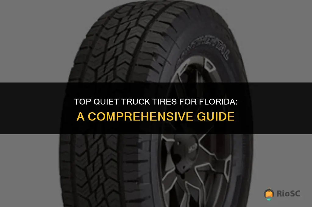 best truck tires for florida that are quiet