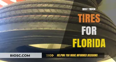 Top Truck Tire Picks for Florida's Diverse Road Conditions