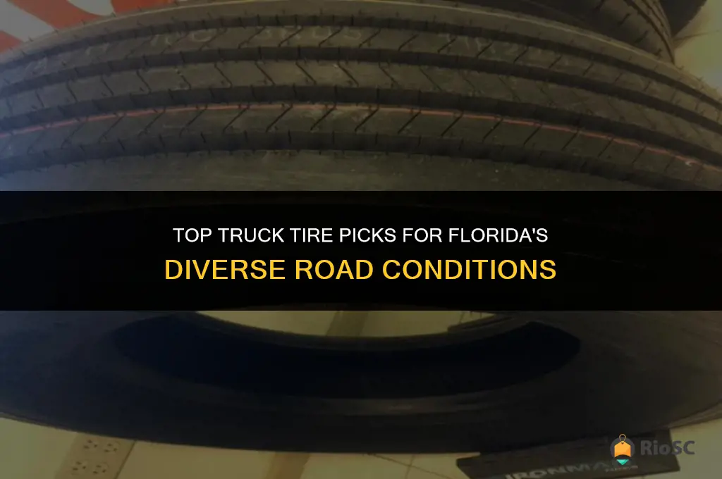 best truck tires for florida
