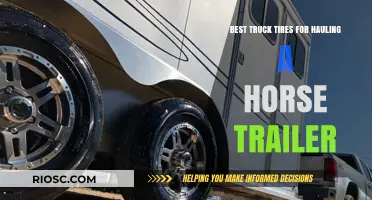 Top-Rated Truck Tires for Safe and Efficient Horse Trailer Hauling