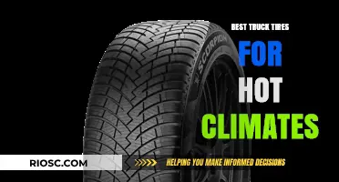 Top Truck Tires for Hot Climates: Stay Cool and Safe on the Road
