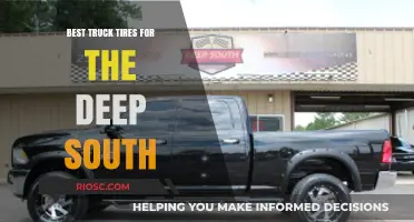 Top Truck Tires for Deep South Driving: Durability Meets Performance