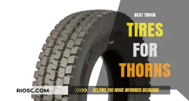 Top Thorn-Resistant Truck Tires: A Comprehensive Guide for Off-Road Enthusiasts