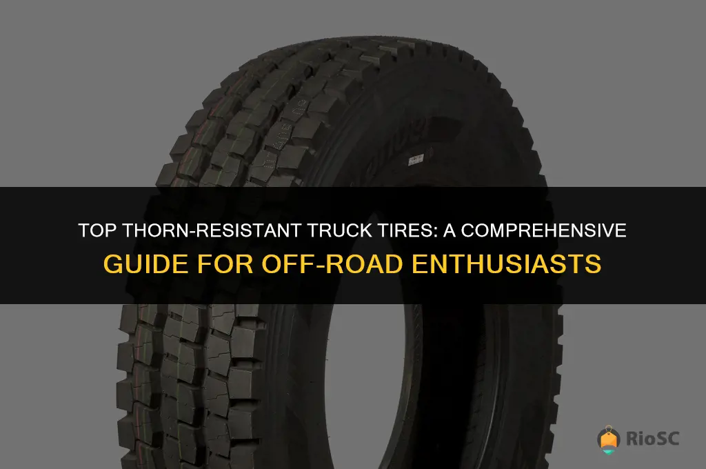 best truck tires for thorns