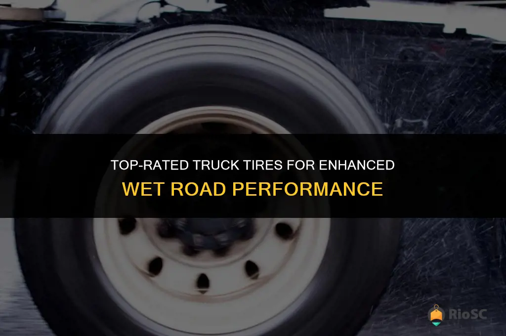 best truck tires for wet roads