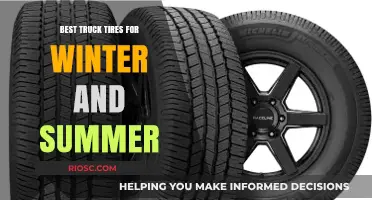 All-Season Truck Tire Guide: Top Picks for Winter and Summer Performance