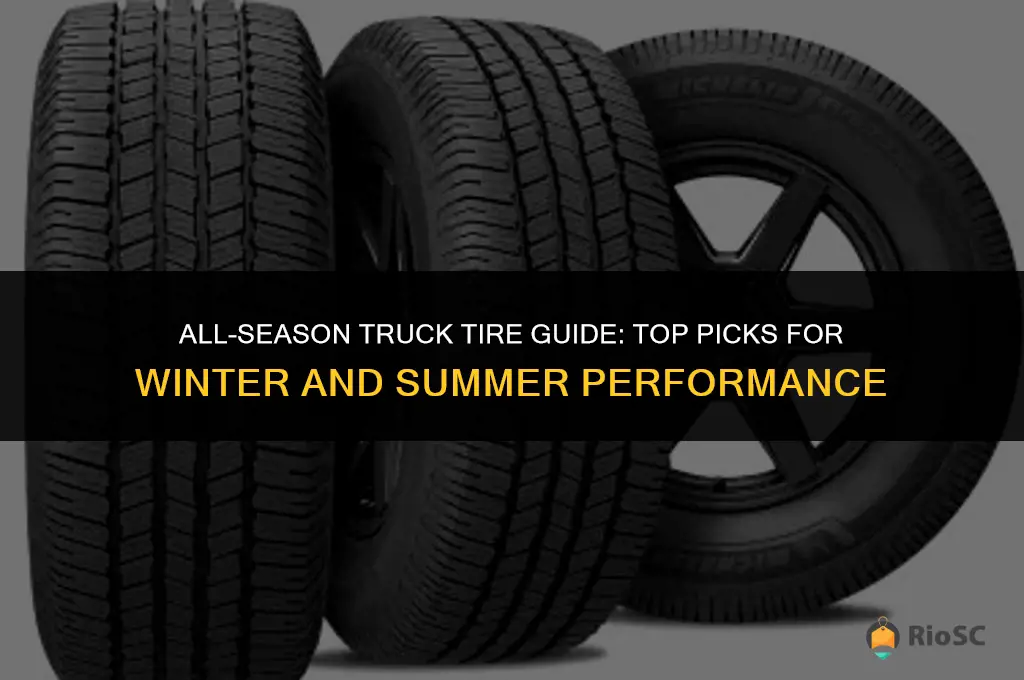best truck tires for winter and summer