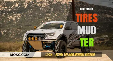 Top-Rated Mud-Terrain Truck Tires: Unmatched Performance for Off-Road Adventures
