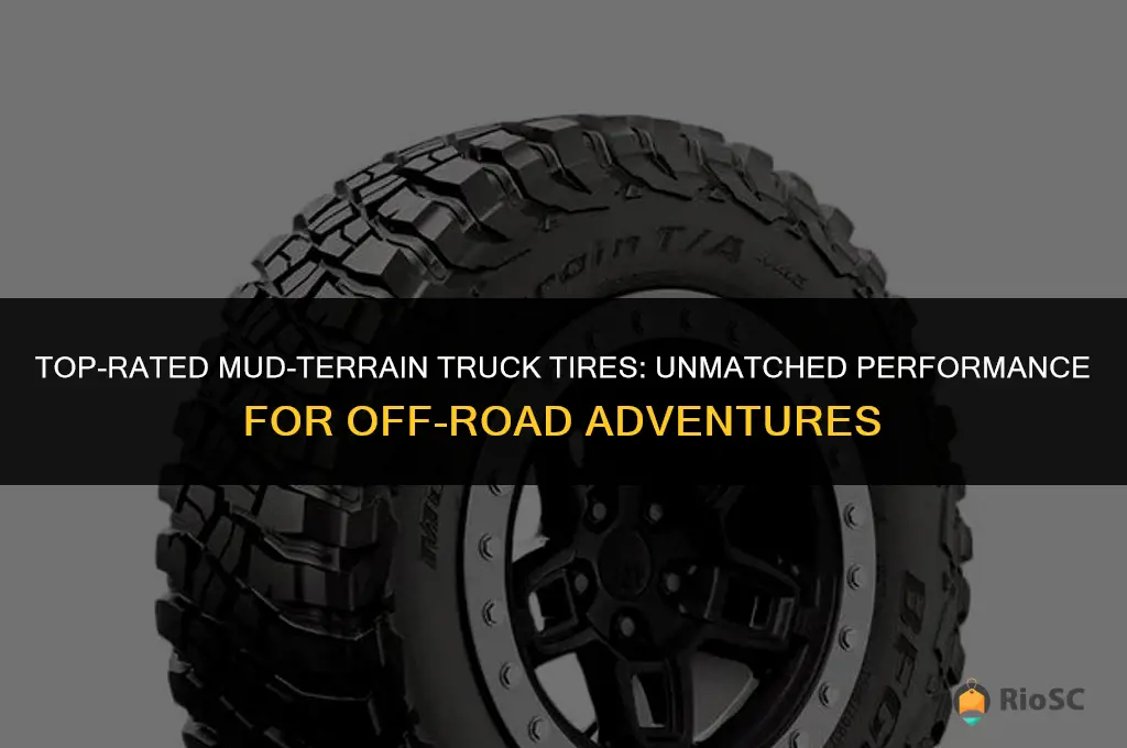 best truck tires mud ter