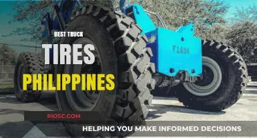 Top Truck Tires in the Philippines: A Comprehensive Guide for Heavy-Duty Performance