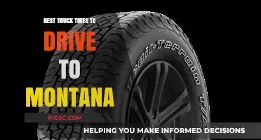 Top Truck Tires for a Smooth Journey to Montana