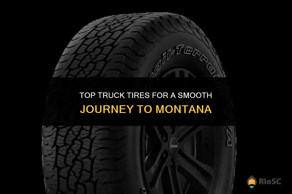 best truck tires to drive to montana