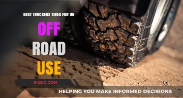Top-Rated Truck Tires for Seamless On- and Off-Road Performance
