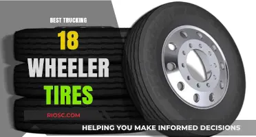 Top-Rated Trucking 18 Wheeler Tires: A Comprehensive Guide for Long-Haul Truckers