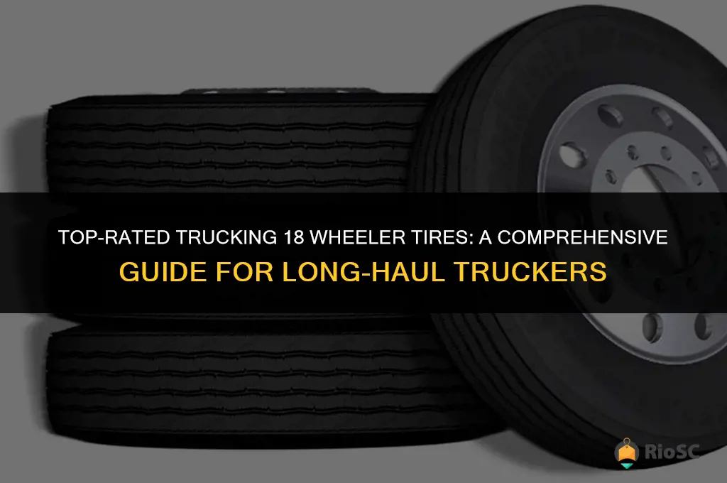 best trucking 18 wheeler tires