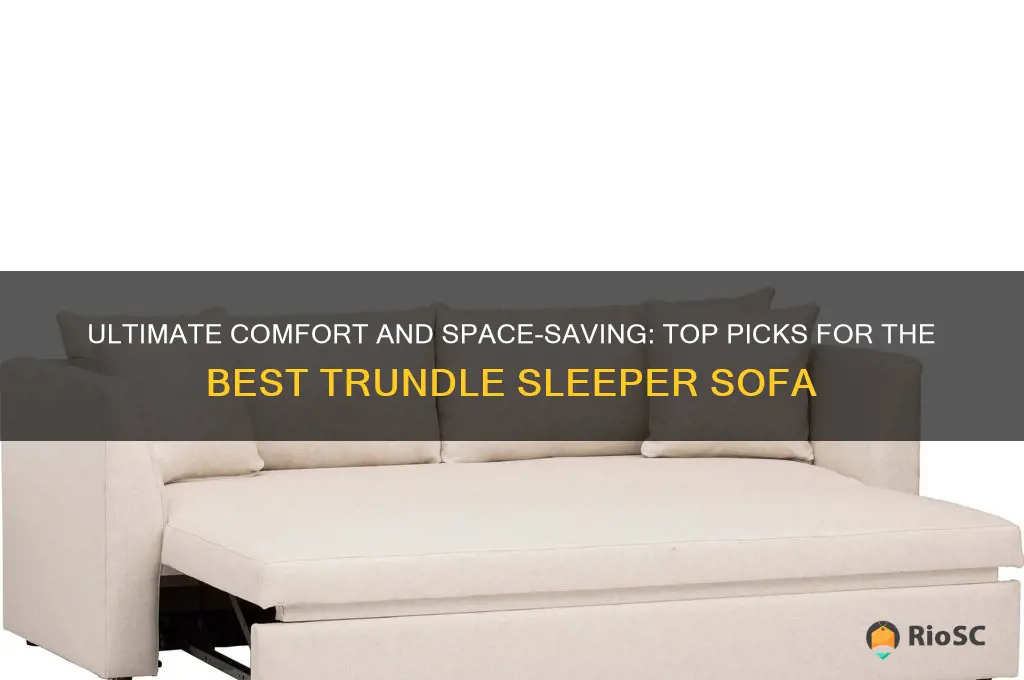 best trundle sleeper sofa