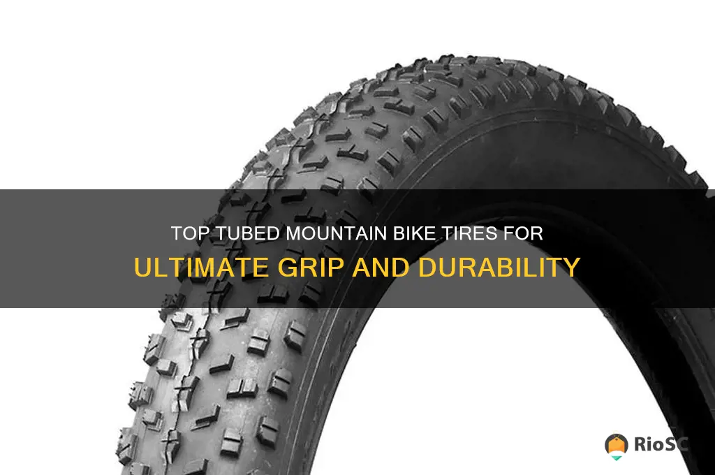 best tubed mountain bike tires