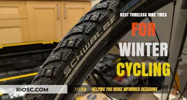 Conquering Winter Roads: Top Tubeless Bike Tires for Cold-Weather Cycling