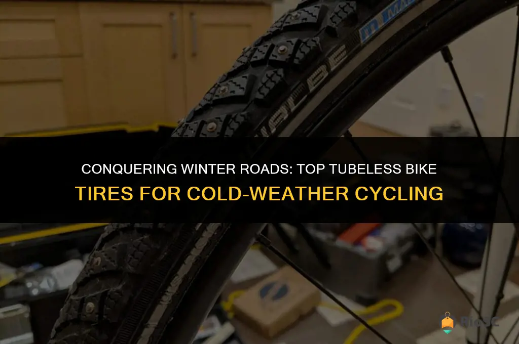 best tubeless bike tires for winter cycling