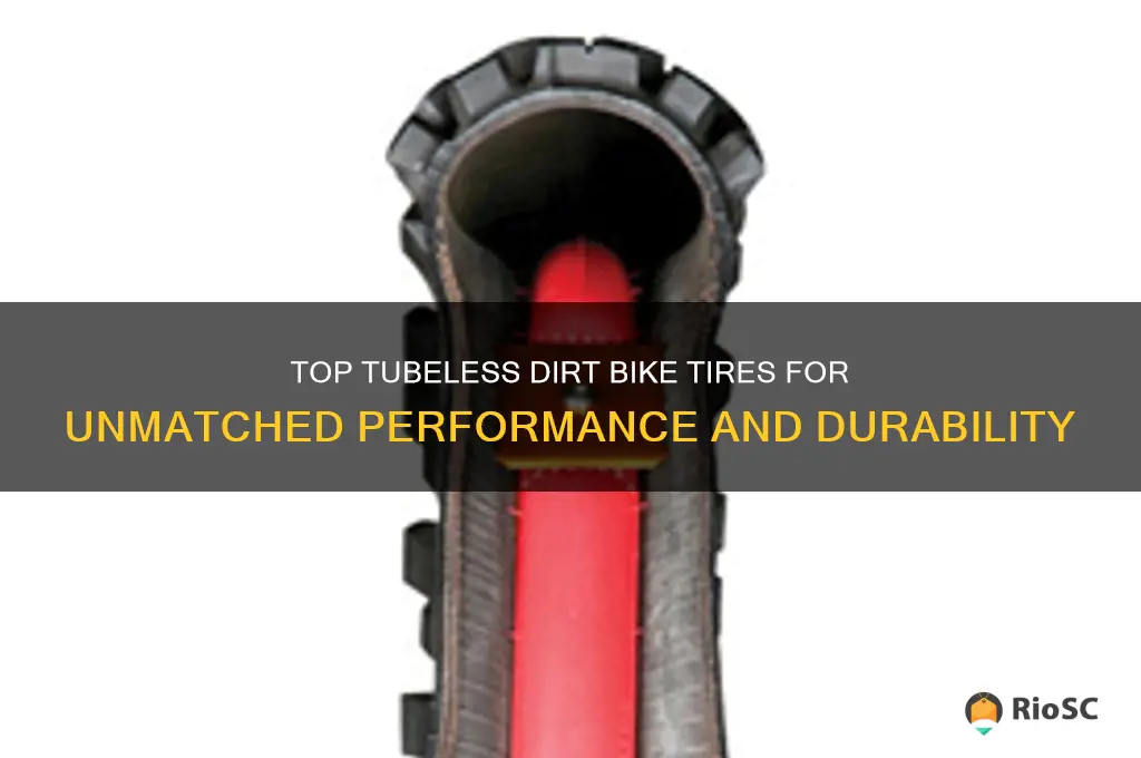 best tubeless dirt bike tires