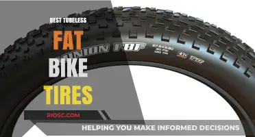 Top-Rated Tubeless Fat Bike Tires for Ultimate Performance and Durability