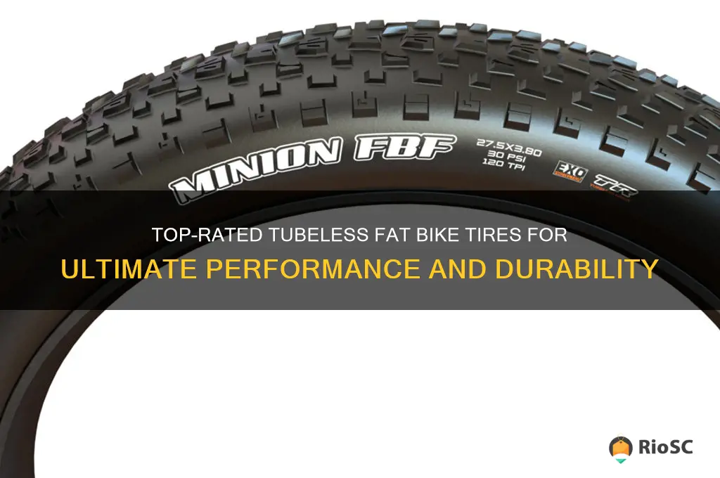 best tubeless fat bike tires