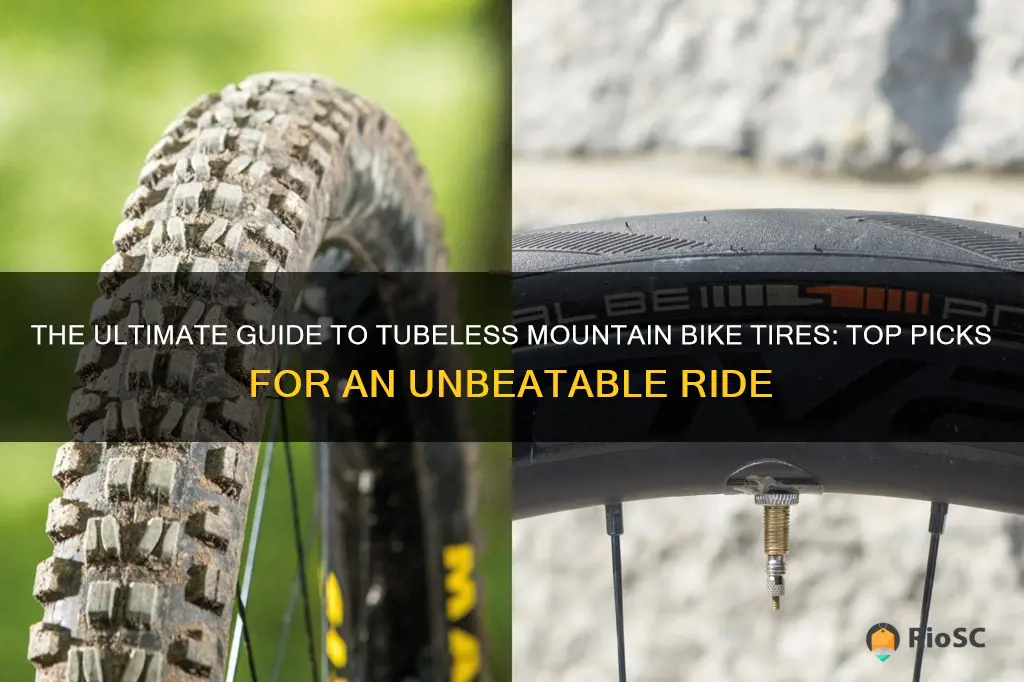 best tubeless mountain bike tires