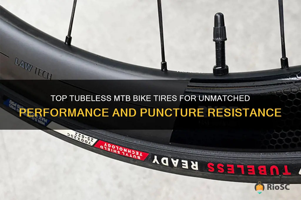 best tubeless mtb bike tires