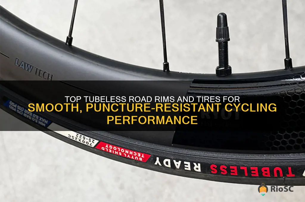best tubeless road rims and tires