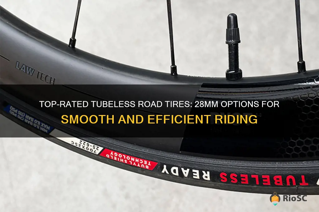 best tubeless road tires 28mm