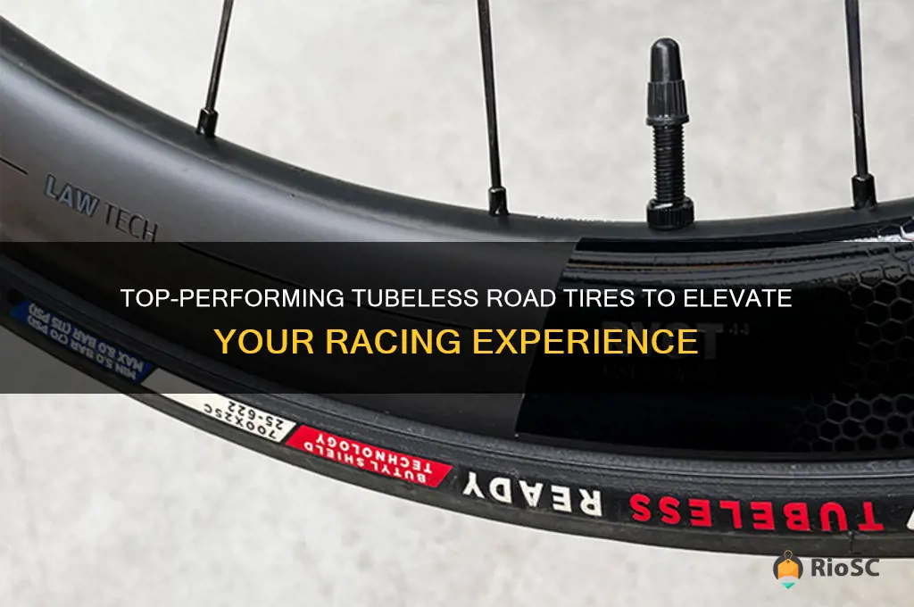 best tubeless road tires for racing