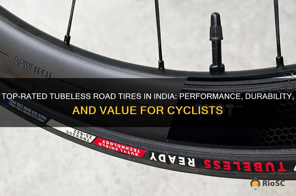 best tubeless road tires in india
