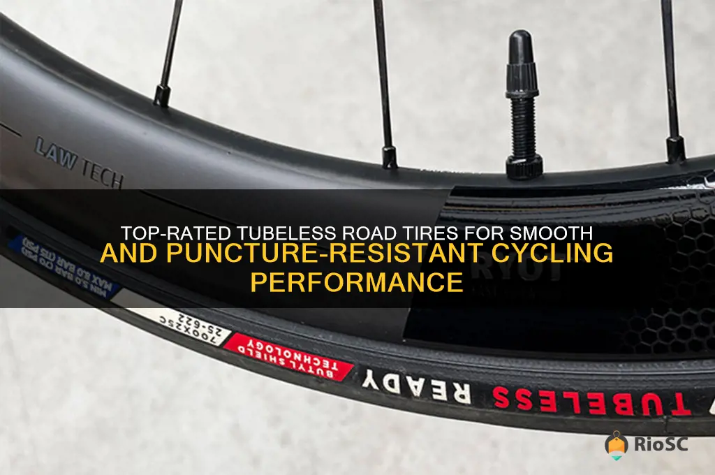 best tubeless road tires