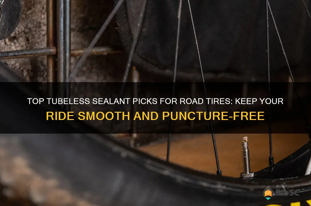 best tubeless sealant for road tires