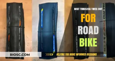 Top-Rated Tubeless Tires for Road Bikes: Enhance Your Ride with Puncture Resistance and Smooth Performance