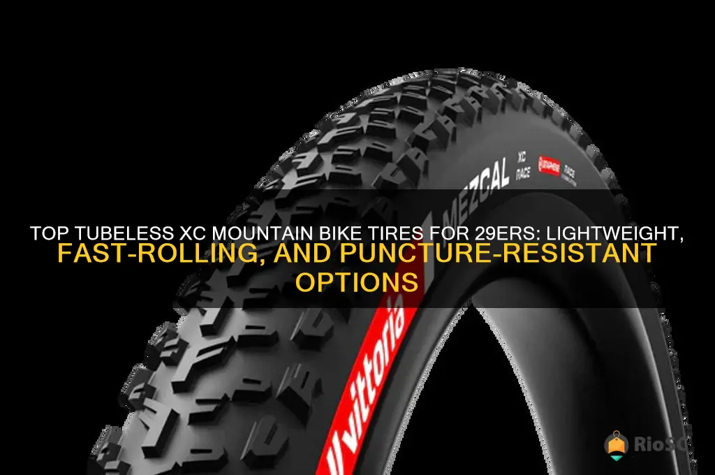 best tubeless xc mountain bike tires 29er