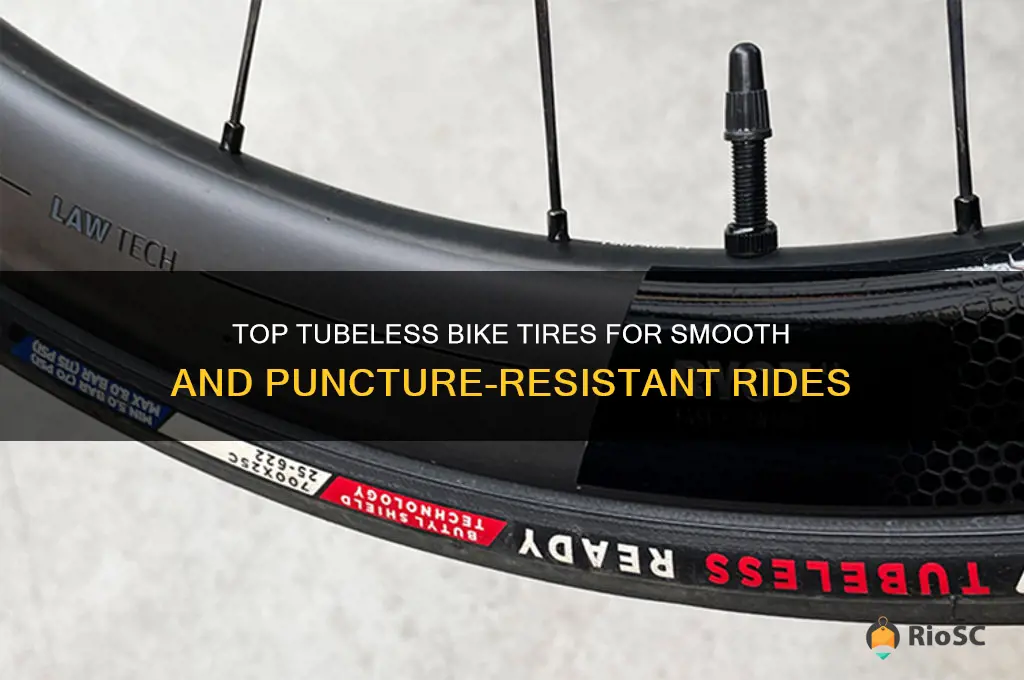 best tubless bike tires