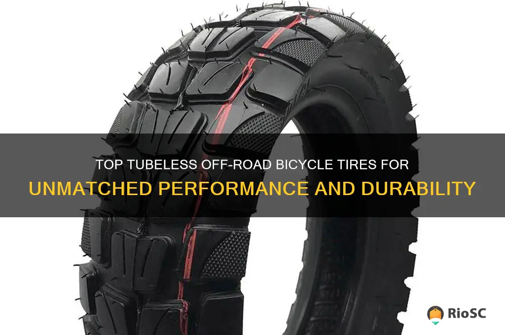 best tubless off road bicycle tires