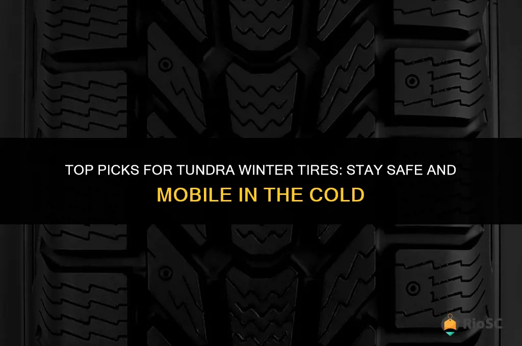 best tundra winter tires
