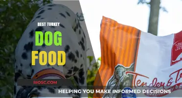 Top-Rated Turkey Dog Food: Nutritious and Delicious Options for Your Canine Companion