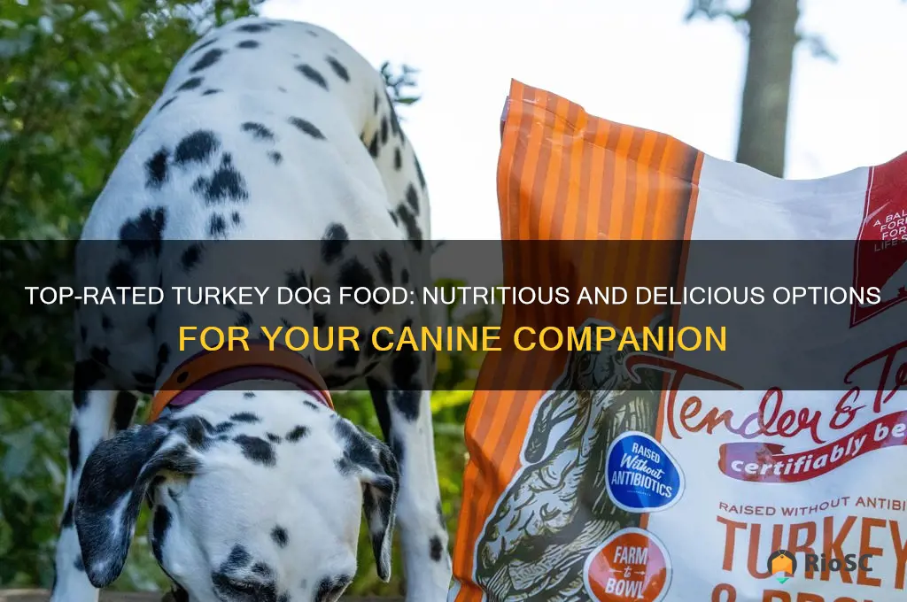 best turkey dog food