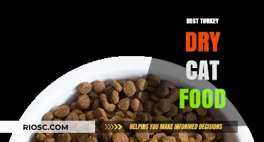 Top-Rated Turkey Dry Cat Food: A Comprehensive Guide for Feline Nutrition