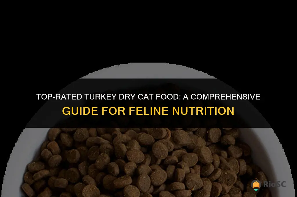 best turkey dry cat food