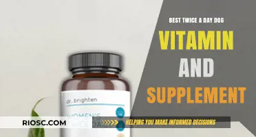 Twice-Daily Essentials: Top Dog Vitamins and Supplements for Optimal Health