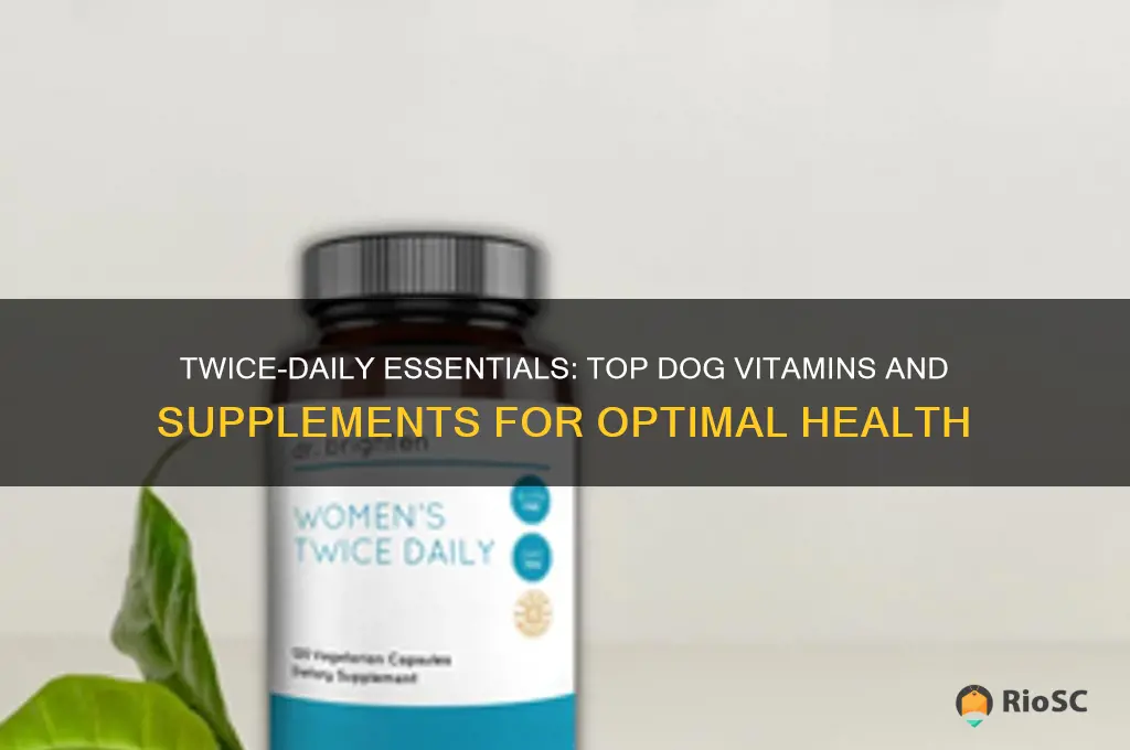 best twice a day dog vitamin and supplement