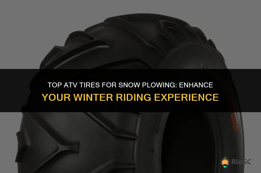 best type atv tires for snow plowing