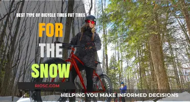Conquering Winter Terrain: The Unmatched Performance of Fat Tires in Snowy Conditions